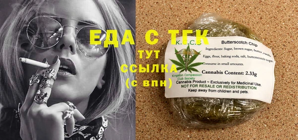 индика Надым