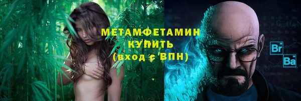 мдпв Богородск