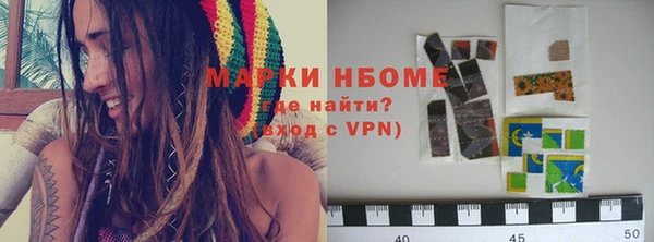 индика Надым