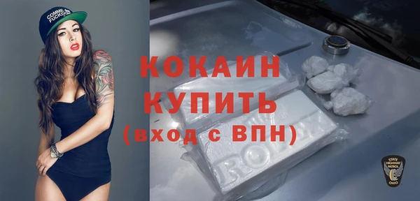 индика Надым