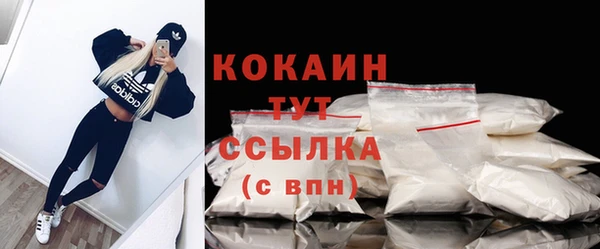 ECSTASY Богородицк