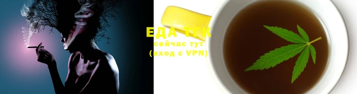 индика Надым
