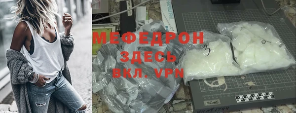 индика Надым
