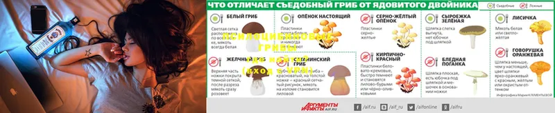 Псилоцибиновые грибы мухоморы  Нюрба 