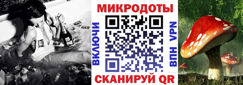 Галлюциногенные грибы GOLDEN TEACHER  Нюрба 
